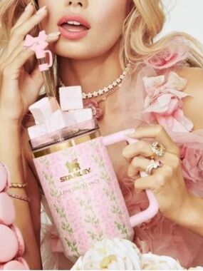 🎀LOVE SHACK FANCY STANLEY🎀